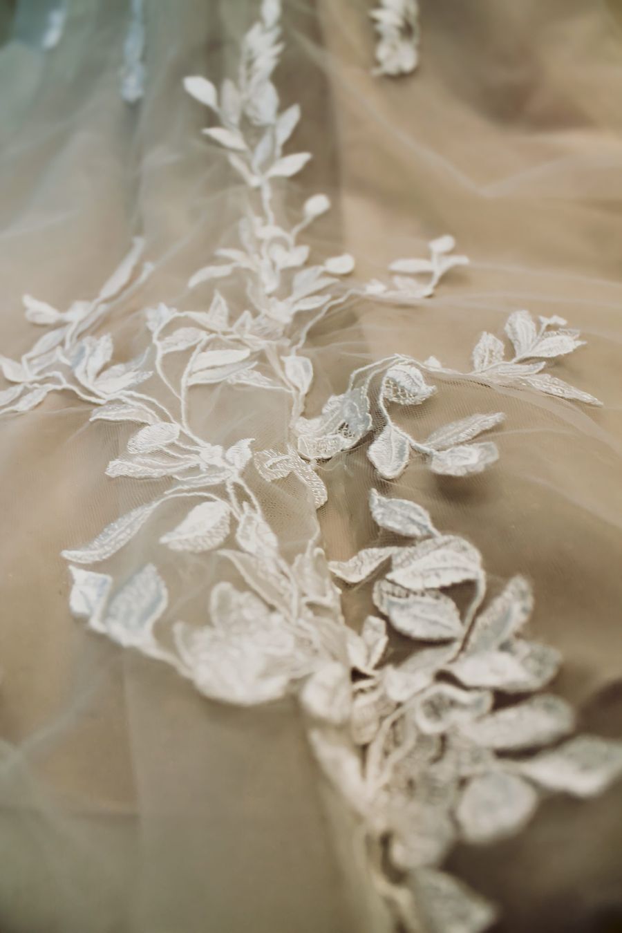 Blätterspitze auf einer Schleppe Blätterspitze auf einer Schleppe